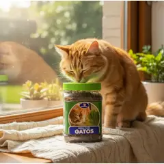 GENERICO - Hierba para Gatos para Plantar Cultiva Pasto Natural en Casa