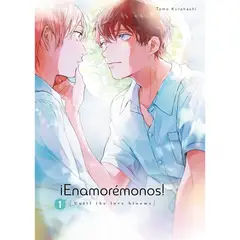 ARECHI EDITORIAL - Manga Enamorémonos Tomo 1
