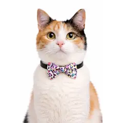 GENERICO - COLLAR PARA GATO MICHI CORAZONES DE COLORES