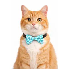 GENERICO - COLLAR PARA GATO MICHI TURQUEZA