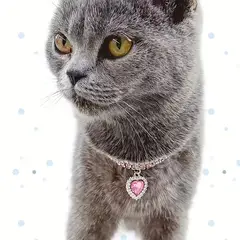 GENERICO - COLLAR CORAZÓN PARA GATOS - ROSA