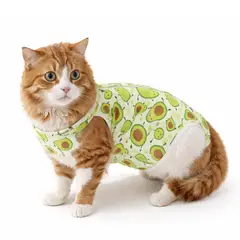 IDEAS PERFECTAS - Faja Postoperatorio Verde Paltita - Talla L