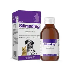 DRAG PHARMA - Silimadrag Protector Hepático Suspensión Oral 120 ml