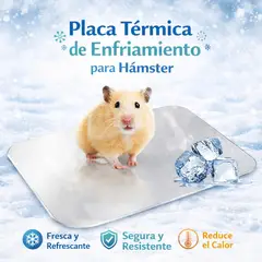 GENERICO - Placa de Refrigeración para Hámster Frescura Segura en Días de Calor