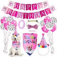 GENERICO - Kit cumpleañero para mascotas perros y gatos rosado