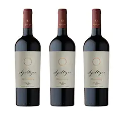 APALTAGUA - Vino Tinto Gran Reserva Malbec 750ml Pack x3
