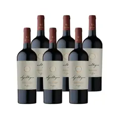 APALTAGUA - Vino Tinto Gran Reserva Malbec 750ml Pack x6
