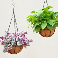 GENERICO - Maceta Colgante de Fibra de Coco 25 cm