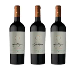 APALTAGUA - Vino Tinto Gran Reserva Blend 750ml Pack x3