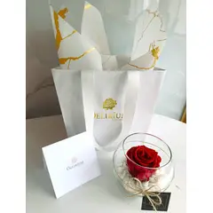 GENERICO - ROSA PRESERVADA PECERA