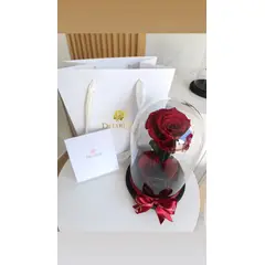 GENERICO - Rosa Preservada Mediana XL