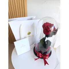 GENERICO - ROSA PRESERVADA XL GRANDE