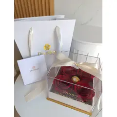 GENERICO - ROSAS PRESERVADAS ENCAPSULADAS