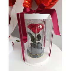 GENERICO - ROSA PRESERVADA CORAZÓN