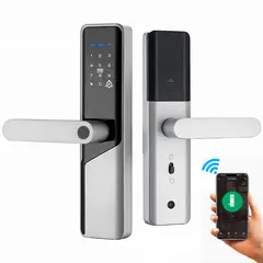 OEM - Cerradura Inteligente Smart Chapa Biometrica Digital Wifi Plata X12