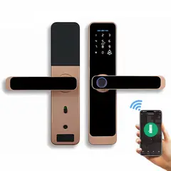 OEM - Cerradura Inteligente Smart Chapa Biométrica Digital Wifi Dorado A15