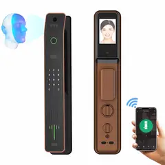 OEM - Cerradura Inteligente Smart Chapa Reconocimiento Facial 3d Wifi Dorado