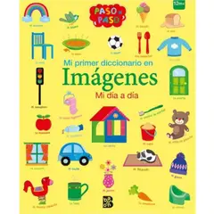 GENERICO - LIBRO infantil MI PRIMER DICCIONARIO EN IMÁGENES MI DIA A DIA