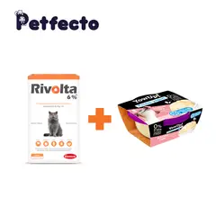 RIVOLTA - 6% + 1 HELADO BACON CAKE