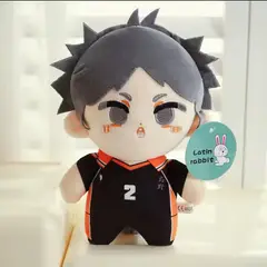 GENERICO - Peluche Haikyuu de koshi sugawara