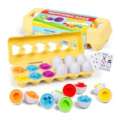 GENERICO - Juguete Didáctico de Huevos en Caja