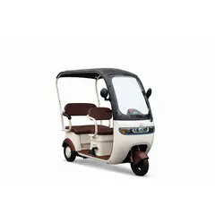 GENERICO - TRIMOTO ELECTRICA P9 MAX EBIKER