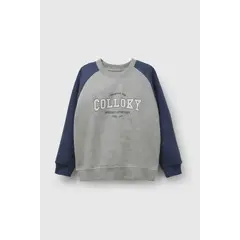 COLLOKY - Polera Casual Kid Niño Azul
