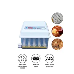 S&T - Incubadora Automática De Plástico Para 16 Huevos