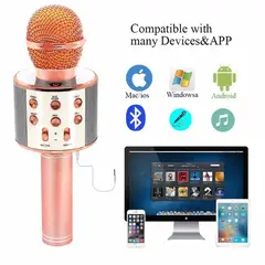 OEM - Micrófono Karaoke Profesional Inalámbrico - Parlante 5W con Modulador de Voz USB