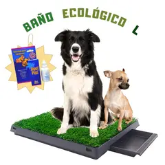 GENERICO - Baño ECOLÓGICO Césped para Mascotas L + Educador Sanitario AQUÍ PIPÍ