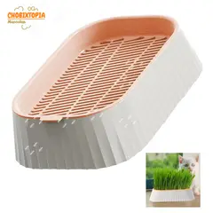 GENERICO - CAJA DE HIERBA GATERA MACETA PARA GATOS - SUMMER MELON