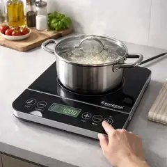 FINEZZA - Cocina De Inducción 1 Hornilla Fineza FZ-312IN-1