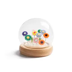 OEM - Cúpula De Cristal Flores Eternas 3D Luminoso