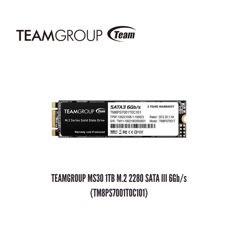 Unidad en Estado Sólido MS30 1TB M.2 2280 SATA III 6Gb/s
