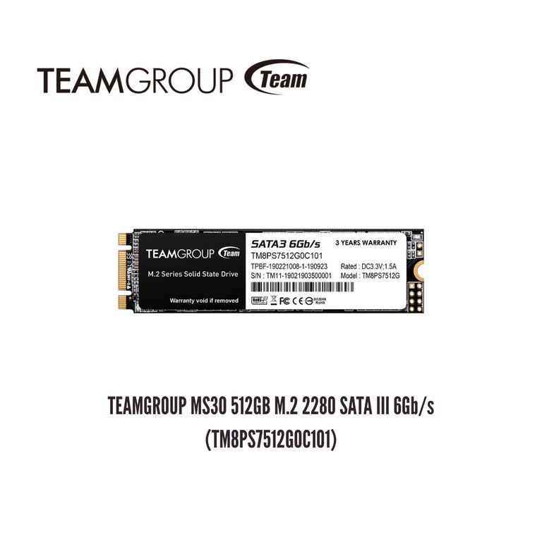 Unidad en Estado Sólido MS30 512GB M.2 2280 SATA III 6Gb/s