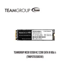 TEAMGROUP - UNIDAD EN ESTADO SOLIDO MS30 512GB M.2 2280 SATA III 6GB-S