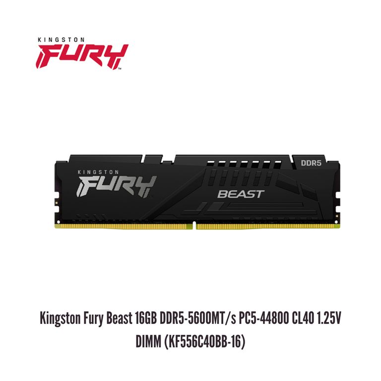 Memoria RAM Fury Beast 16GB DDR5-5600MTs PC5-44800 CL40 1.25V