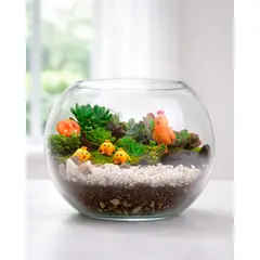 DON REGALO - Terrario de Suculentas Mamá Gallina