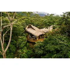 BIGBOX - Bosque Guardián