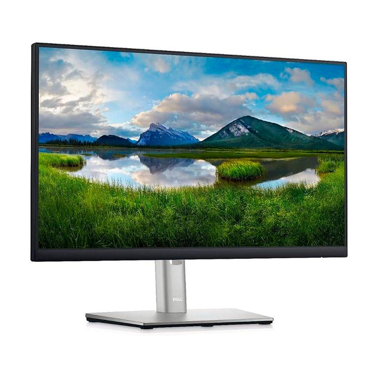 MONITOR LED P2225H 22 l P-N 210-BLXJ