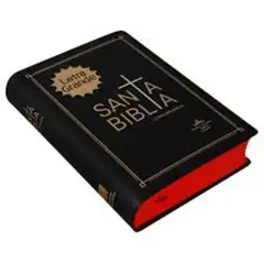 GENERICO - Biblia Reina Valera 1960 RVR042cLG Letra Mediana Tamaño Chico Vinil Negro