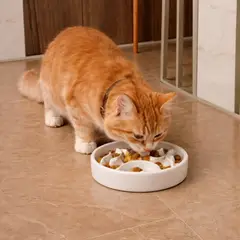 GENERICO - COMEDERO SLOW FEEDER DE CERÁMICA PARA GATOS