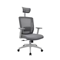 OFIDEAS - Silla Ergonómica Delphi II Presidente Gris Nylon