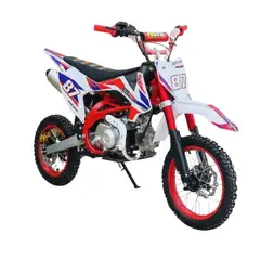 GENERICO - MOTOCROSS 125CC PARA ADOLESCENTES 4 TIEMPOS RECREATIVO