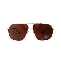 HARLEY DAVIDSON - Lentes De Sol Hombre Modelo PILOTO