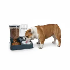 GENERICO - Comedero y Bebedero para Mascotas 2 en 1 con Doble Dispensador Agua y Comida Perros Gatos - Azul