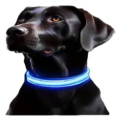 GENERICO - Collar con luz LED Blanca Reflectante Nailon Para Perro