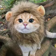 GENERICO - Encantador Disfraz De Leon Para Gato