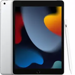 APPLE - Ipad 2021 9th 256G Wi-Fi + Cellular Plata Reacondicionados