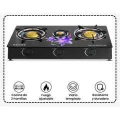 GENERICO - COCINA DE GAS 2 HORNILLA